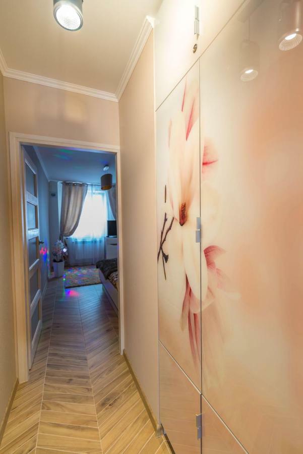 Apartament Bon Appetit - Krupowki-Zakopane Dış mekan fotoğraf